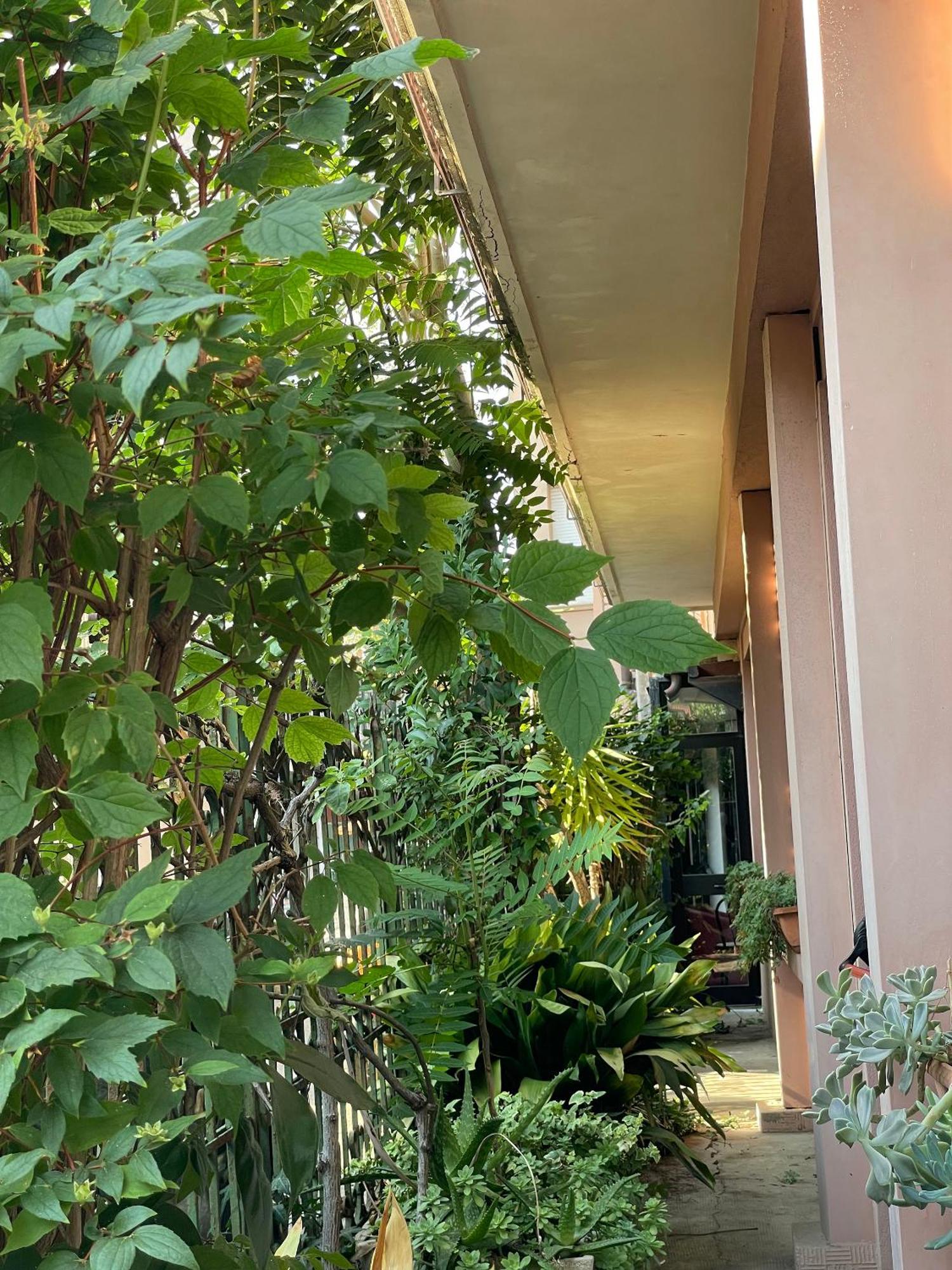 Hotel Berlino Cattolica Dış mekan fotoğraf
